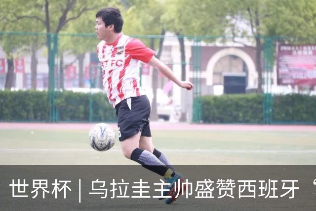 世界杯 | 乌拉圭主帅盛赞西班牙“精致足球”